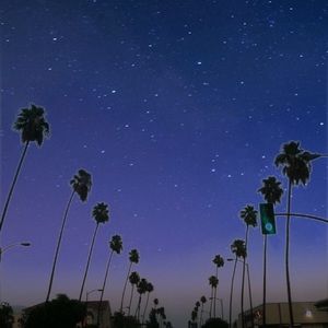 Meet your Posher, Brandi